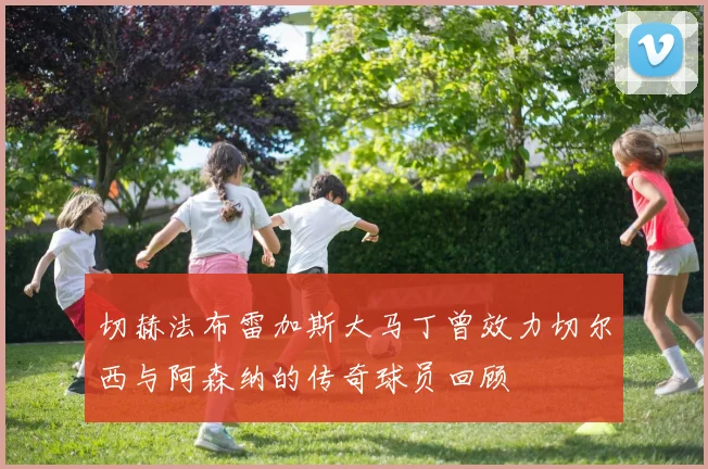 切赫法布雷加斯大马丁曾效力切尔西与阿森纳的传奇球员回顾