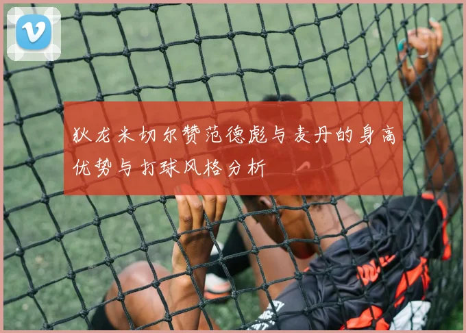 狄龙米切尔赞范德彪与麦丹的身高优势与打球风格分析